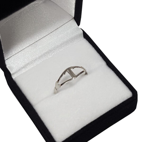 Anillo Plata 925 Ecologico Inicial A Eleccion - Imagen 2