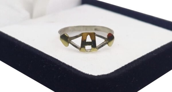 Anillo Con Inicial a Eleccion Plata 925 y Oro 18 - Imagen 6