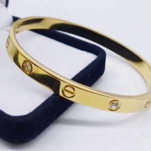 Esclava Acero Quirugico Con Piedra Y Tornillo Estilo Cartier  Dorada